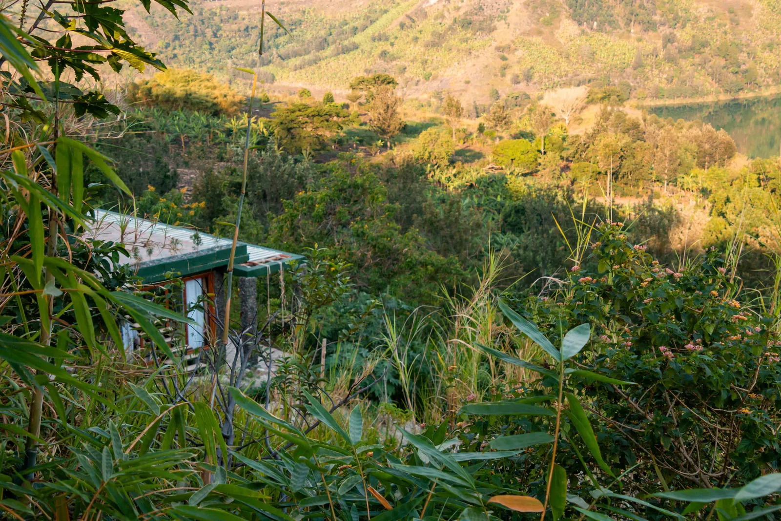 Lodge building tucked into lush vegetation above the crater lake